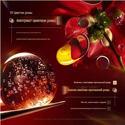 FAYANKOU Эссенция-масло для лица с экстрактом лепестков розы 30мл