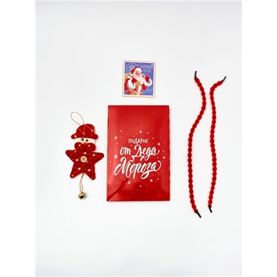 Пакет подарочный «Новогодний подарок», с ёлочной игрушкой и шильдиком, 18×23×11 см