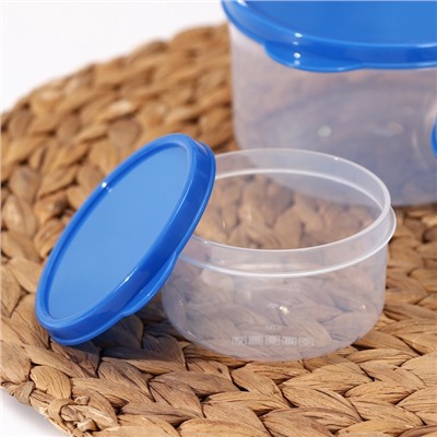 Набор контейнеров для хранения еды Доляна, 3 шт. 150 мл, 300 мл, 500 мл, прозрачные, крышка синяя