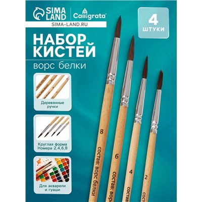 Набор кистей для рисования, белка, 4 штуки: № 2, 4, 6, 8, Calligrata, круглые, деревянная ручка, международный размер