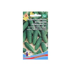 Семена огурец корнишон «Младший лейтенант F1», 10 шт.