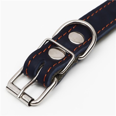 Ошейник комбинированный, безразмерный, 54×2.5 см, ОШ 17-45 см, кожа, брезент, синий