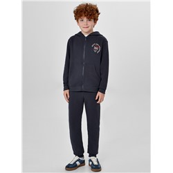 КОМПЛЕКТ ДЛЯ МАЛЬЧИКОВ (ТОЛСТОВКА, БРЮКИ) 393314