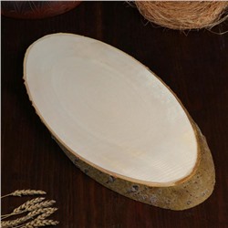 Спил осины, косой, слэб для декора, 50×25±2 см