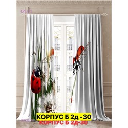 Фотошторы 3д 2046496-1