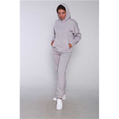 ТК 351 Костюм спортивный теплый (Серый)