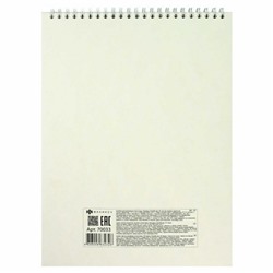 Альбом для зарисовок (скетчпад) А4 60л твердая обложка на спирали "АСТРАЛЬНЫЙ КОТ" белый офсет 100 г/м2 70033 Феникс