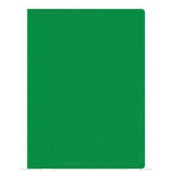 Папка-файл  40 Eco 0.5мм зеленая (2063013) SILWERHOF
