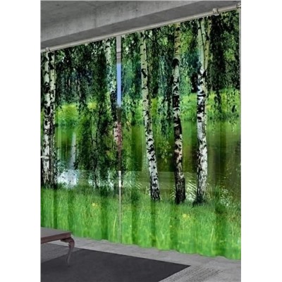 Фотошторы #23062491