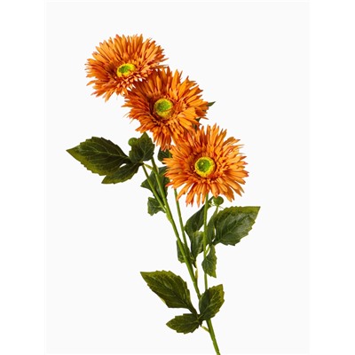 Цветы искусственные «Хризантема колор галант», 10×60 см, оранжевые