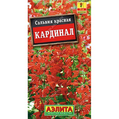 1820A Сальвия Кардинал 0,1 г