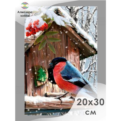 Алмазная мозаика «Зимний гость», 20×30 см