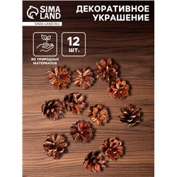 Новогодний декор «Набор натуральных шишек», 12 шт.
