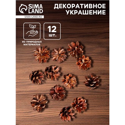 Новогодний декор «Набор натуральных шишек», 12 шт.