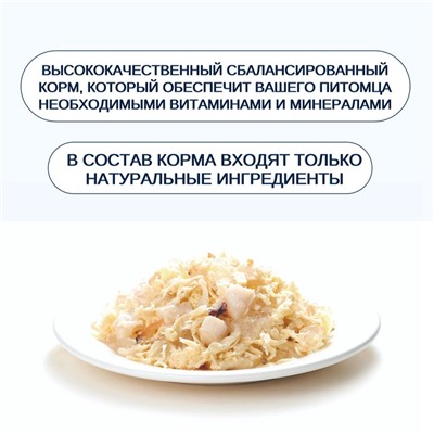 Wanpy Cat Консервы для кошек «Курица с гребешком» 95 г