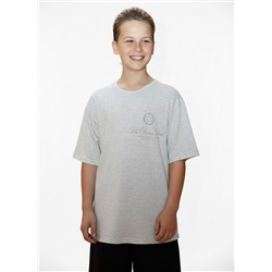 Фуфайка (футболка) для мальчика Успех-8.1