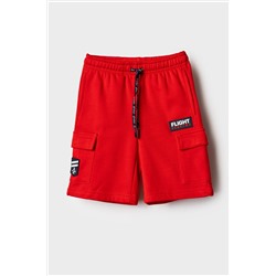 Шорты трикотажные для мальчиков PLAYTODAY, 1239644