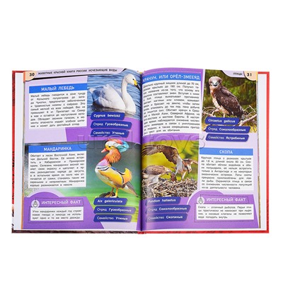 Животные Красной книги России. Исчезающие виды. Энциклопедия.