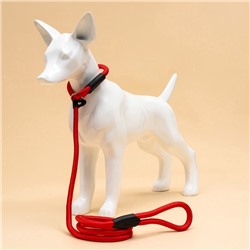 Ринговка для собак, 130×1 см, красная