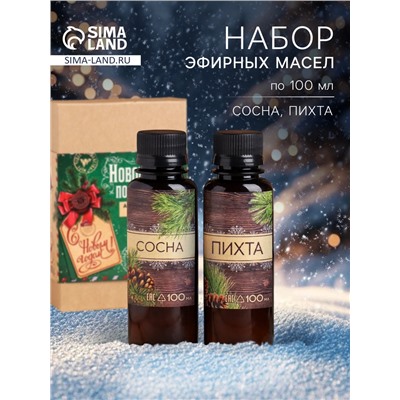Новогодний набор ароматизаторов «Новогодняя посылочка», сосна, пихта, 2 шт. по 100 мл