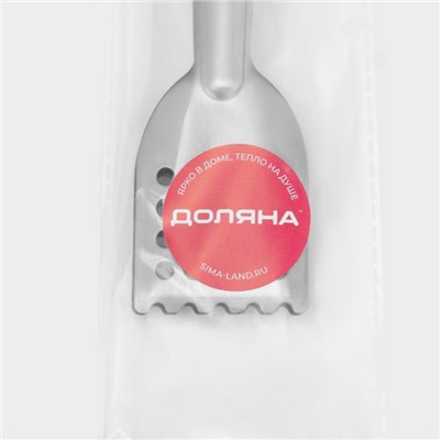 Щипцы кухонные Доляна, 22 см, цвет серебристый