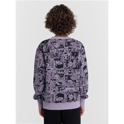 СВИТШОТ ДЛЯ МАЛЬЧИКОВ 123431/1