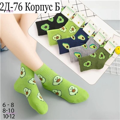 носки 10 штук 1984006-1