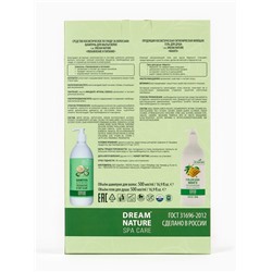 Подарочный набор женский DREAM NATURE SPA CARE увлажнение и питание, гель для душа и шампунь по 500 мл, аромат манго