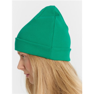 ШАПКА МОЛОДЕЖНАЯ 221001