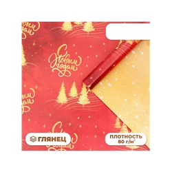 Бумага упаковочная новогодняя «С Новым годом», глянец, двусторонняя, 80 г/м², 50×70 см