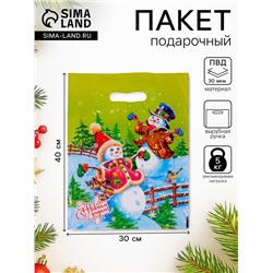 Пакет новогодний подарочный «Веселье», полиэтиленовый с вырубной ручкой, 40×30 см