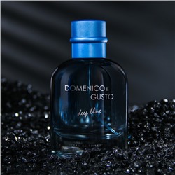 Туалетная вода мужская Domenico&Gusto Deep Blue, 100 мл