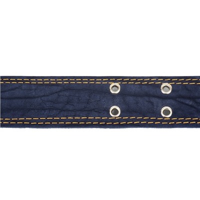 Ошейник комбинированный, безразмерный, 83×4.5 см, ОШ 20-70 см, кожа, брезент, синий