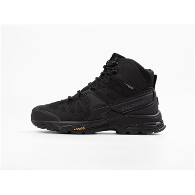 Зимние Ботинки Salomon Quest 4 GTX