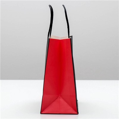 Пакет подарочный новогодний «Деда мороза не существует», 22×22×11 см