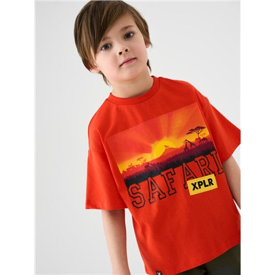 Фуфайка трикотажная для мальчиков (футболка)