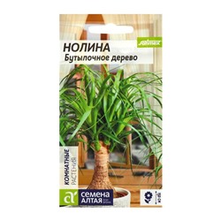 Семена комнатных цветов нолина «Бутылочное дерево», 3 шт.
