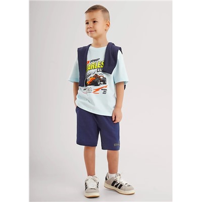 CLEVER Шорты 866172к