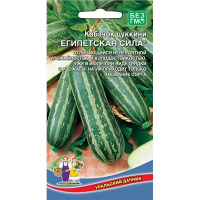 8006N Кабачок цуккини Египетская сила 10шт