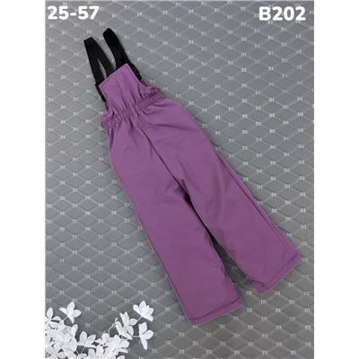 Брюки B202 сирень