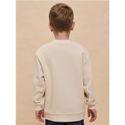 PELICAN Толстовка BFN3362