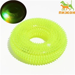 Игрушка светящаяся для собак «Жевательное кольцо», TPR, 12 см, жёлтая