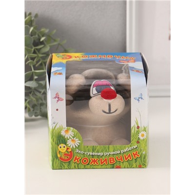 Набор для выращивания «ЭкоЖивчик. Енот», фигурка растущая в подарочной упаковке