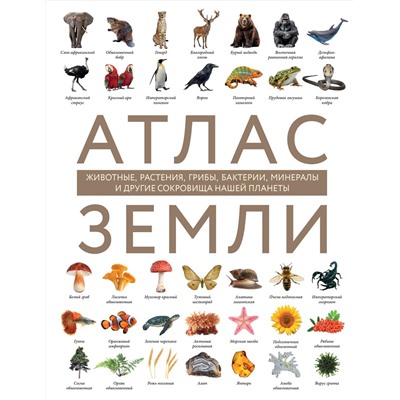 Эксмо Регина Михайлова "Атлас Земли. Животные, растения, грибы, бактерии, минералы и другие сокровища нашей планеты"