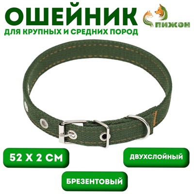 Ошейник брезентовый двухслойный, 52×2 см, тёмно-зелёный