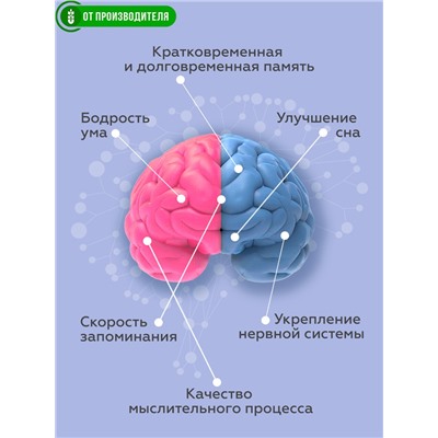 Напиток "Эрудит" со смородиной (для памяти), 2 г х14 саше / Сибирская клетчатка