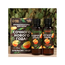 Новогодний набор ароматизаторов «Сочного Нового Года», в подарочной коробке, апельсин, кедр, 2 шт. по 100 мл