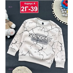 кофта 2056456-1