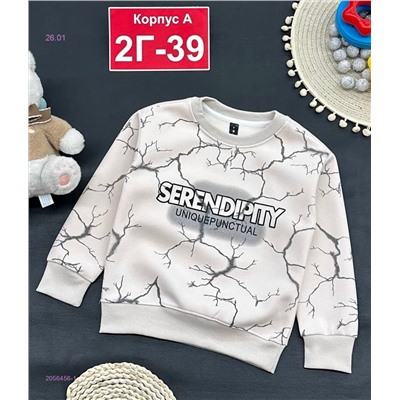 кофта 2056456-1