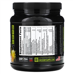 NutraBio Labs, Reload Recovery Matrix, Passion Fruit, 1.83 lb (831 g)